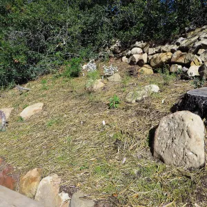 Slope ni Arroyo,at pollination deck, straw covering seeds