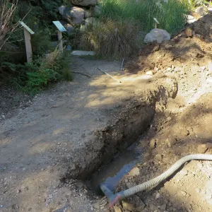Sewer in the Arroyo