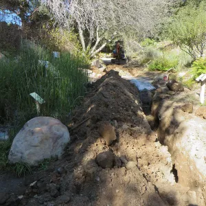 Sewer in the Arroyo