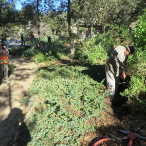Sewer line installation in Arroyo