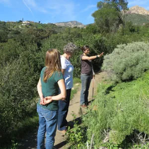 Anne McInerney, Ingrid Kaper, Betsy Lape, Porter Trail