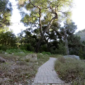 Campbell Bench site