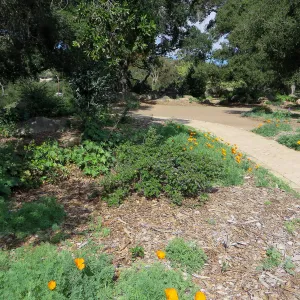 Bench site in Meadow