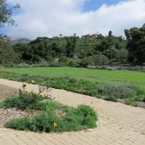 Bench site in Meadow