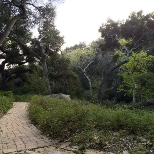 View from the Campbell Bench