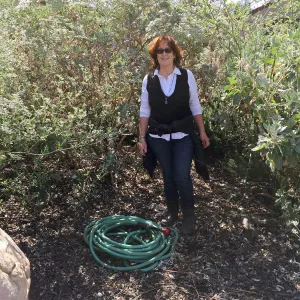 Betsy Collins by Eriogonum giganteum, Stepian garden