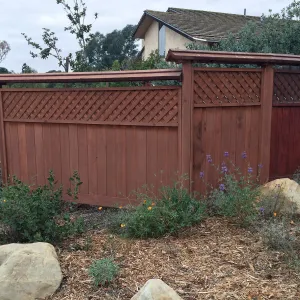 Peter Schuyler garden, Arctostaphylos, Salvia (Sage), Poppies