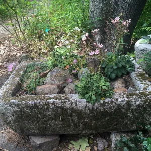 Tilden Regional Parks Botanic Garden trough gardens