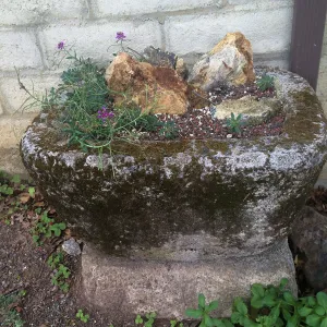 Tilden Regional Parks Botanic Garden trough gardens