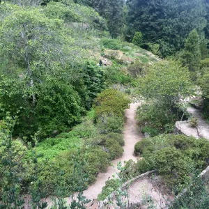 Tilden Regional Parks Botanic Garden