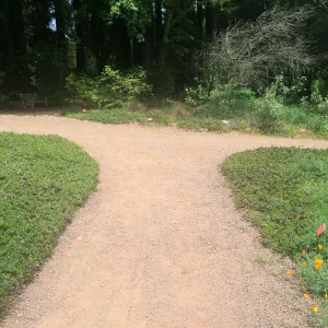 Tilden Regional Parks Botanic Garden