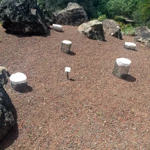 Plant cages at Tilden Regional Parks Botanic Garden