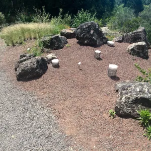Plant cages at Tilden Regional Parks Botanic Garden