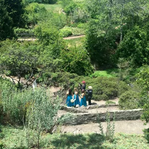 Wedding at the Tilden Regional Parks Botanic Garden