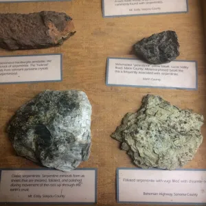 Exhibits at Tilden Regional Parks Botanic Garden