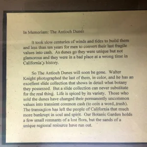 Exhibit at Tilden Regional Parks Botanic Garden