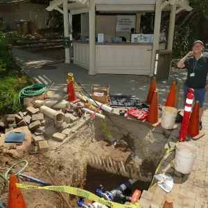 Valve replacement, 4-inch water line, just west of entry kiosk