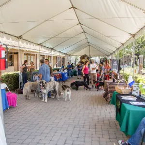 Trails â€˜n' Tails 2016, vendor tables in Courtyard