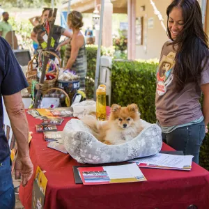 Trails â€˜n' Tails 2016