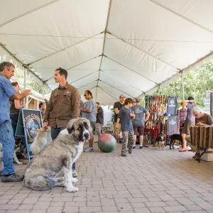 Trails â€˜n' Tails 2016, Courtyard