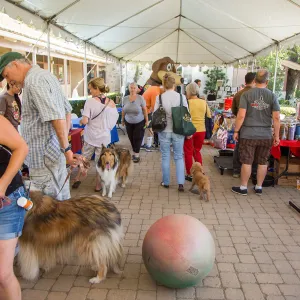 Trails â€˜n' Tails 2016, Courtyard