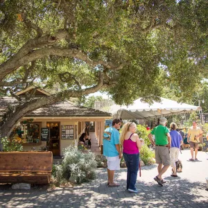 Trails â€˜n' Tails 2016