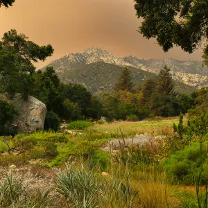 Meadow in smoke-filtered light from Rey Fire