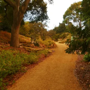Arroyo Section in smoke-filtered light from Rey Fire