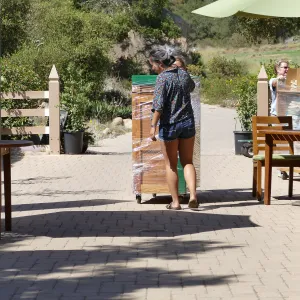 2016 Herbarium Collection Move