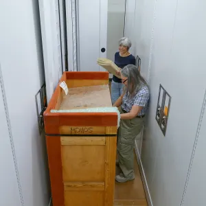 2016 Herbarium Collection Move