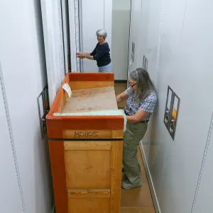 2016 Herbarium Collection Move