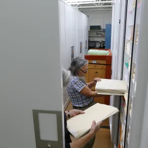 2016 Herbarium Collection Move