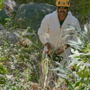 Tree Crew volunteered by Bartlett Tree Experts working in Canyon Section