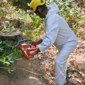 Tree Crew volunteered by Bartlett Tree Experts working in Canyon Section