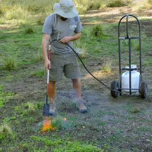 Thermal weed management in the Meadow
