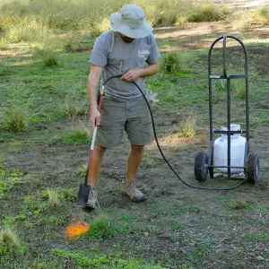 Thermal weed management in the Meadow
