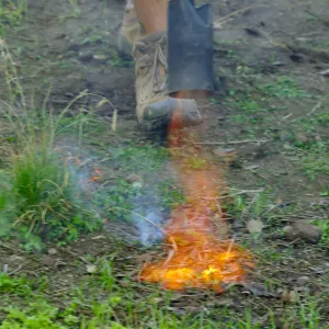 Thermal weed management in the Meadow