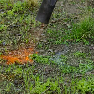 Thermal weed management in the Meadow