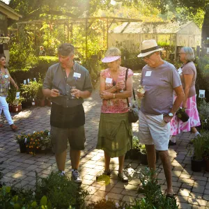 2016 Fall Native Plant Sale Preview Party