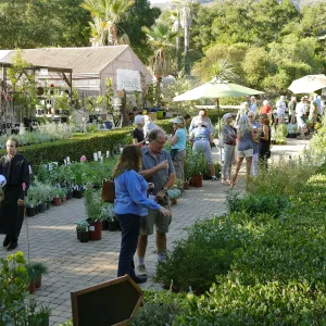 2016 Fall Native Plant Sale Preview Party