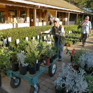 2016 Fall Native Plant Sale Preview Party