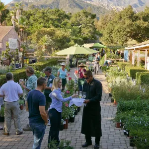 2016 Fall Native Plant Sale Preview Party