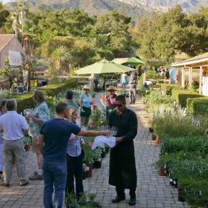 2016 Fall Native Plant Sale Preview Party