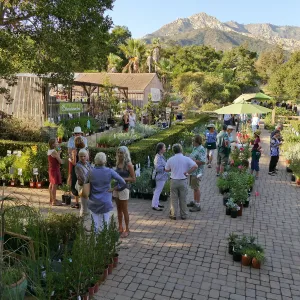 2016 Fall Native Plant Sale Preview Party