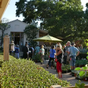 2016 Fall Native Plant Sale Preview Party