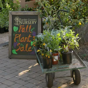 2016 Fall Native Plant Sale Preview Party