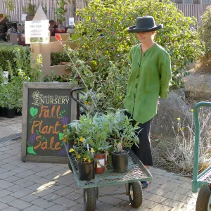 2016 Fall Native Plant Sale Preview Party