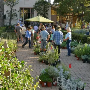 2016 Fall Native Plant Sale Preview Party