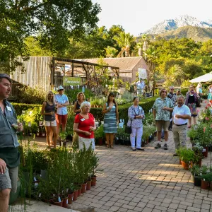 2016 Fall Native Plant Sale Preview Party