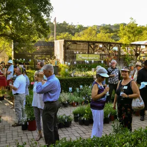 2016 Fall Native Plant Sale Preview Party